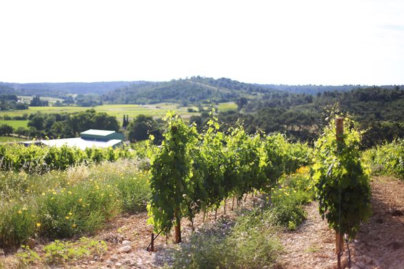 Eté (600)