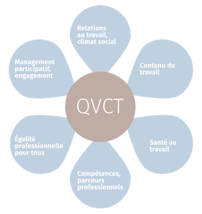 QVCT