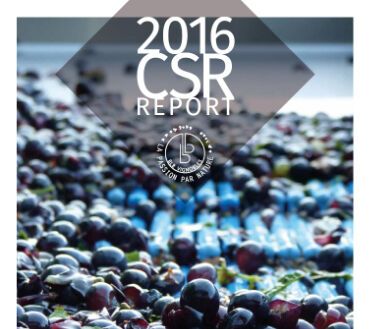CSRReport