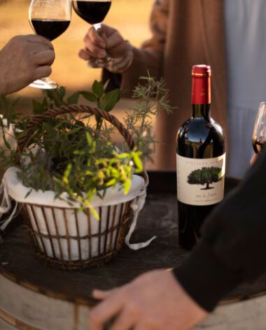 La Jasse wines
