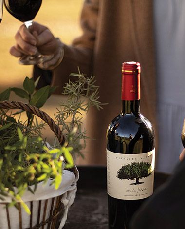 Les vins de la Jasse