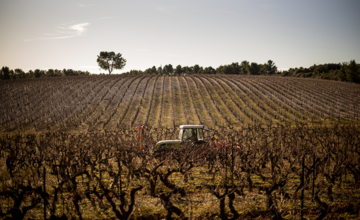 tracteur