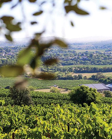 Les vins de Vignes Des Deux Soleils