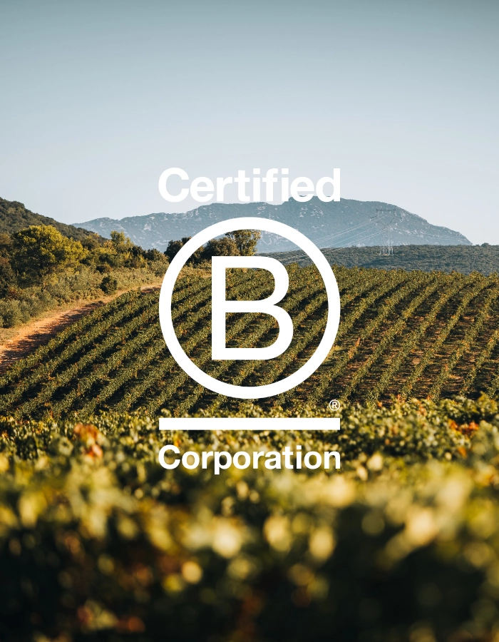 B corp certified Maison Le Breton est certifiée B Corp